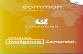 DIPLOMADO Inteligencia Comercial · 2019-08-31 · El programa está diseñado para entrenar al vendedor en inteligencia comercial, lo que le permitirá ser estratégico, asertivo