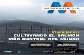  · 2018-04-17 · gallanes, Tierra del Fuego y Última Esperanza, con el objeto de observar en terreno el desempeño de la industria salmonicultora en la región más austral del