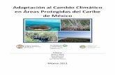 Adaptación al cambio climático en áreas protegidas …ccbd.filos.unam.mx/.../docs/adaptacion_anp_caribe_mexico.pdfAdaptación al Cambio Climático en Áreas Protegidas del Caribe