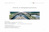 Tema 4 Megaproyectos - RUA, Repositorio Institucional de la Universidad de … 4... · 2016-05-13 · TEMA X. Megaproyectos locales afectadas por la obra de ingeniería y su funcionamiento