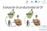 Evaluación de productividad de OF · 2019-04-25 · costos) Mejora eficiencia: identificando demoras o movimientos ... dimensiona miento Mejorar Objetivos específicos. Productividad