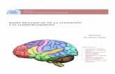 BASES BIOLOGICAS DE LA COGNICIÓN Y EL …bases biologicas de la cogniciÓn y el comportamiento contenido temático • partes de la neurona • divisiones generales del sn • orientaciones