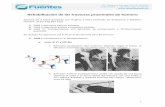 Rehabilitación de las fracturas proximales de húmeros221987781.mialojamiento.es/wp-content/...humero.pdf · Ejercicios pendulares tipo Codman: dejando colgar el brazo, se ... primeros