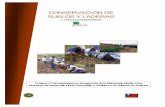 MODULO DE CONSERVACION DE SUELOS · módulo de conservación de suelos y laderas 2 conservaciÓn de suelos y laderas equipo de trabajo coordinaciÓn tÉcnico metodolÓgica: asesorÍa