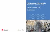 Districte de l’Eixample ÀMBIT... · s’ha ampliat l’àmbit d’estudi a una part de l’entramat de Ciutat Vella per analitzar la continuïtat del carrer Girona a través del