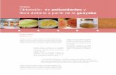 Proyecto Obtención de antioxidantes y fibra dietaria a partir de la … · 2012-11-23 · Proyecto Obtención de antioxidantes y fibra dietaria a partir de la guayaba El amor y la