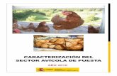 CARACTERIZACIÓN DEL SECTOR AVÍCOLA DE PUESTA · Caracterización del sector avícola de puesta en España. Año 2016 4 1. IMPORTANCIA ECONÓMICA Y CARACTERISTICAS PRODUCTIVAS El