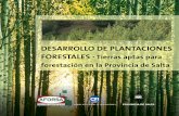 DESARROLLO DE PLANTACIONES FORESTALES · Tierras aptas …proyungas.org.ar/wp-content/uploads/2014/12/desarrollo... · 2014-12-29 · DESARROLLO DE PLANTACIONES FORESTALES · Tierras
