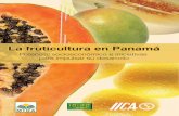 La fruticultura en PanamLa fruticultura en Panamáábdigital.binal.ac.pa/bdp/descarga.php?f=la fruticultura1.pdf · 6 Instituto Interamericano de Cooperación para la Agricultura