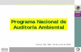 Programa Nacional de Auditoría Ambiental · 2017-02-22 · los cuales firmaron en el 2008, la carta de intención para incorporarse a la “Estrategia Cuenca Limpia”, para salvaguardar