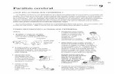 Paralisis cerebral - chap 9.pdf PARALISIS CEREBRAL 89 TlPOS DE PARALlSlS CEREBRAL La parhlisis cerebral