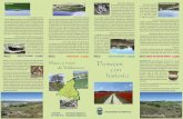 PINTO - turismo.valdemoro.esturismo.valdemoro.es/wp-content/uploads/2015/06/Senderos-de-Valdemoro.pdf · Camino Hondo del Soto del Parral Antón Molino del Rey Camino del Camino del