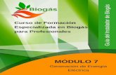 Curso de Formación Especializada en Biogás para Profesionales4echile.cl/4echile/wp-content/uploads/2017/11/Biogas... · 2019-06-28 · Curso de Formación Especializada en Biogás