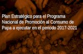 Plan Estratégico para el Programa Nacional de Promoción al ... · NSE 2-4 25-35 años 6 de 10 Quieren seguir viviendo en Colombia 60% Comprarían productos que apoyen causas sociales