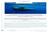 EL PAR RQUE NACIO NAL DE COIBA NAMÁ). · 2015-10-08 · icos han ind ballenas joro n animal más ilómetros. al de Coiba e arina a la i gos. Junto a ayor área pro l Oriental, un