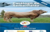 2019 - Rubia Gallegagenética selecta con fiabilidad en el mérito de cada toro para mejorar la cabaña de Rubia Gallega, incrementar su productividad, tanto en cantidad como en calidad,