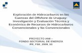 Exploración de Hidrocarburos en las Cuencas del …...PROYECTO ANII – FONDO SECTORIAL DE ENERGÍA PR_FSE_2009_53 Exploración de Hidrocarburos en las Cuencas del Offshore de Uruguay: