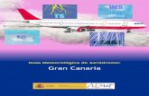 Guía Meteorológica de Aeródromo: Gran CanariaGuía Meteorológica de aeródromo: Gran Canaria Página 6 de 28 1.2. Aplicación para el caso del aeropuerto de Gran Canaria En la