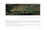 LIBRO BCO RESERVA AREQUIPA · 2020-01-25 · hectareaje sembrado con alfalfa por cultivos de agroexportación más renta-bles y menos intensivos en agua, no tendría por qué perjudicar