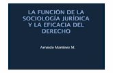 Arnaldo Martínez M. · Capacidad de la norma de alcanzar la finalidad social establecida por el legislador. Una norma jurídica tiene adecuación interna cuando las consecuencias