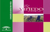 Folleto Viñedo ecologico OK · 2014-05-28 · 2092/91, que regula los métodos de producción agrícola, ganadera y de transformación de alimentos. El viñedo ecológico representa