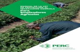 MANUAL DE LA LEY DE PROTECCIÓN AL …pesticideresources.org/wps/hosted/wps-agemp-handbook.es.pdfManual del WPS para los empleadores agrícolas | 5Dueño significa cualquier persona