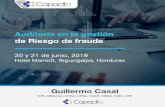 Guillermo Casal - Capacita · Dominicana (2008), y Paraguay (2012). Experiencia en auditoría de entidades financieras, gobierno corporativo y gestión de riesgos. • He sido Gerente