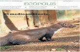 MONOGRÁFICO. SOSTENIBILIDAD ECÓPOLIS - El Periódico de ...animales en peligro de extinción. En es-te sentido, 100.000 elefantes africanos fueron asesinados entre los años 2010