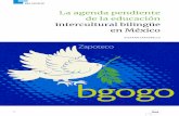La agenda pendiente de la educación intercultural bilingüe ... · La importancia de fortalecer la educación intercultural bilingüe (EIB) en el Sistema Educativo Nacional (SEN)