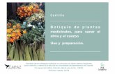 Botiquín de plantas medicinales, para sanar el alma y el ... · Las plantas se pueden reproducir por semilla (Albahaca, caléndula, manzanilla, cebollín cilantro) o utilizando partes