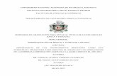 UNIVERSIDAD NACIONAL AUTÓNOMA DE NICARAGUA, …repositorio.unan.edu.ni/5012/1/17977.pdf · instrumentos derivados como mecanismo de administración de riesgo. Se expondrá los tipos