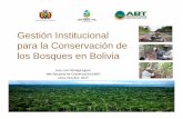 Gestión Institucional para la Conservación de los Bosques ... · OBJETIVOS DEL SBCBI Evaluación de ... Trazabilidad enfoque de la Ley Forestal Instrumentos de gestión Eslabones