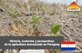 Historia, evolución y perspectivas de la agricultura ...capeco.org.py/wp-content/uploads/2017/08/Cubilla-LE-Paraguay-Bella-Vista-Raúl-Peña...Si es este tipo de agricultura con arado,