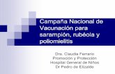 Campaña Nacional de Vacunación para sarampión, rubéola y ... · La fuente de infección fue un caso importado (turista inglesa) A partir del caso primario se detectaron : A) Tres