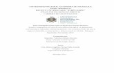 UNIVERSIDAD NACIONAL AUTÓNOMA DE NICARAGUA UNAN- …repositorio.unan.edu.ni/9077/1/98808.pdf · cementos luego de someterlos a solución pigmentada por 16 días. Describir el grado