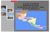 Introducción MEMORIA 2010 · confeccionadas por cooperativas de mujeres indígenas guatemaltecas y otros artículos donados por diferentes establecimientos comerciales. Con los fondos