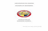 UNIVERSIDAD DE SONORA DIVISIÓN DE INGENIERÍA · Universidad de Sonora como de otras instituciones nacionales e internacionales, por lo que esta propuesta es incluyente y sensible