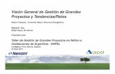 Visión General de Gestión de Grandes Proyectos y ...media.arpel2011.clk.com.uy/cartagena/D1NelsonVasquez.pdf · propósito y a las funciones de la Ingeniería Independiente. Aquí