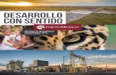 Índice - Ferromex · mos dado continuidad a los trabajos para asegurar las condiciones ambientales en las zonas de los ríos Sonora ... Sobre Grupo México ... NYSE) y la Bolsa de