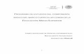 PROGRAMA DE ESTUDIOS DEL COMPONENTE BÁSICO DEL MARCO CURRICULAR COMÚN DE … II.pdf · 2019-01-21 · es el desarrollo de los nuevos currículos para la educación obligatoria en