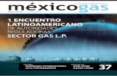 DE AUTORIDADES REGULADORAS SECTOR GAS L.P.mexicogas.net/revistaspdf/revista37.pdfportante obtenido por adición es el dicloruro de etileno (ranqueado tercero como consumidor de etileno),