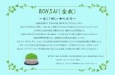 BONSAI（盆栽） - Chiba City Central LibraryBONSAI（盆栽） ～古くて新しい和の文化～ 盆栽の起源は7世紀の中国、唐の時代だと考えられています。