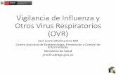 Vigilancia de Influenza y Otros Virus Respiratorios (OVR) · • Contribuir a la estimación de la carga de enfermedad relativa de los virus respiratorios que causan IRAG. • Contribuir