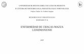 MICROBIOLOGIA Y PARASITOLOGIA I SEMINARIO N 22 22_1.pdf · El mal de Chagas no es negocio para la industria farmacéutica, ni es tema que interese a los políticos. Elige a sus víctimas
