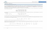 Matemأ،ticas II SOLUCIONARIO UNIDAD 1: agog0016/pdf/2BT/EDITEX II/01 Matrices... Matemأ،ticas II SOLUCIONARIO