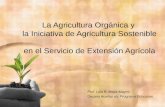 La Agricultura Orgánica y la Iniciativa de Agricultura ...academic.uprm.edu/mbarragan/Mejia_SEA.pdf•La agricultura sostenible debe concebirse como el manejo racional del ecosistema,