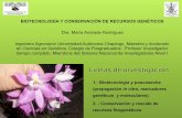 BIOTECNOLOGÍA Y CONSERVACIÓN DE RECURSOS GENÉTICOS · 3. Propagación convencional y conservación de plantas nativas: plantas con bulbo, Euphorbias (nochebuena, pascuita). •