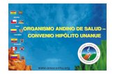 Convenio Hipólito Unanue ::. - BOLIVIA CHILE ... ORAS.pdf• El Convenio Hipólito Unanue (CONHU) fue firmado como acuerdo de cooperación en 1971 por los Ministros de Salud de Bolivia,