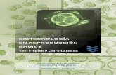 BIOTECNOLOGÍA EN REPRODUCCIÓN ... Biotecnología en Reproducción Bovina 4 Metodología de trabajo Primer día (se reciben los ovarios) Preparar las soluciones de trabajo (entre
