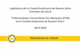Presentación de PowerPoint - Buenos Aires · •Medidas preventivas y control vectorial ... •Control ambiental. Resumen • Evolución de casos de enfermedades transmitidas por